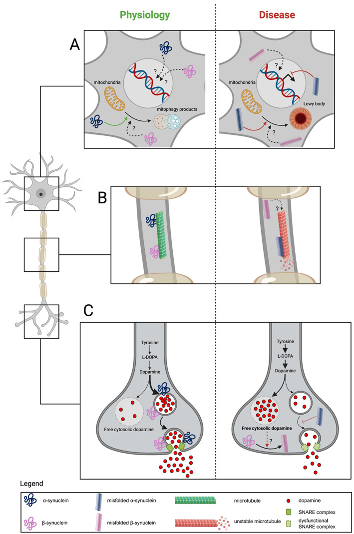 FIG 1