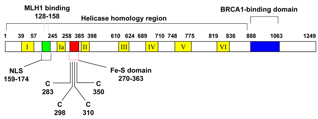 Fig. (1)