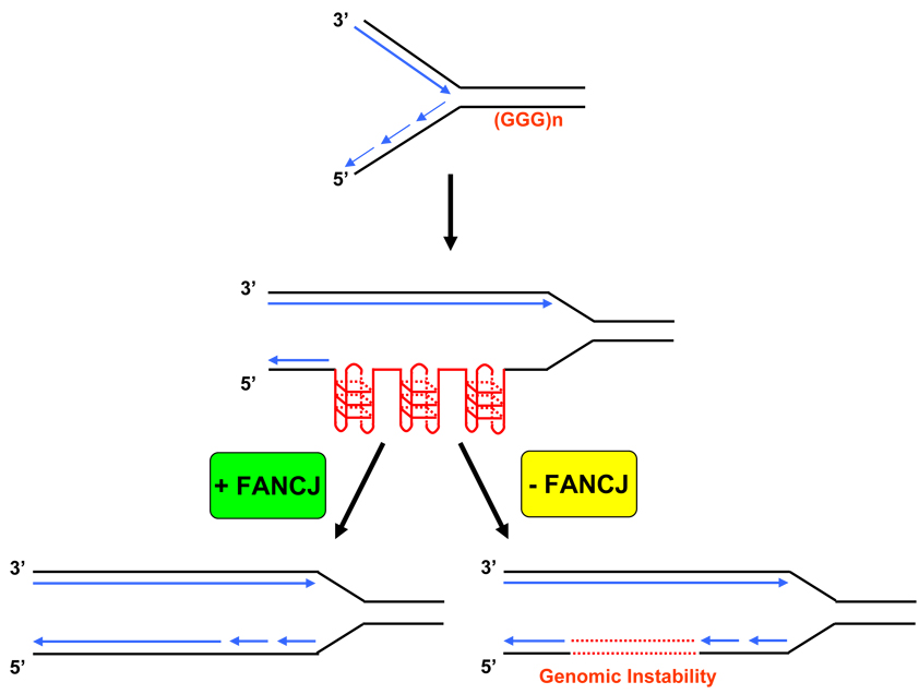 Fig. (3)