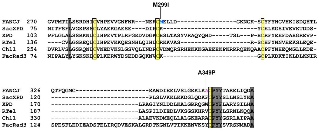 Fig. (2)