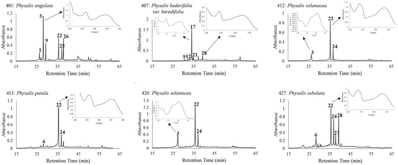 Fig. 1