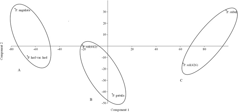 Fig. 5