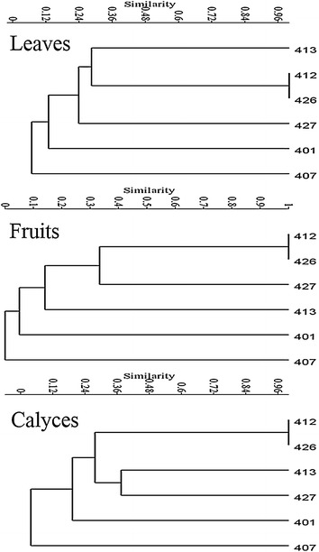 Fig. 4