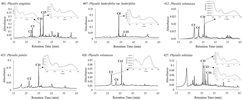 Fig. 3