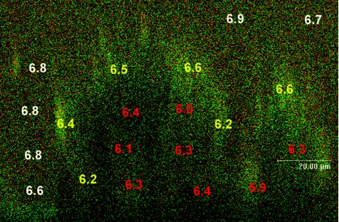 FIG. 6.