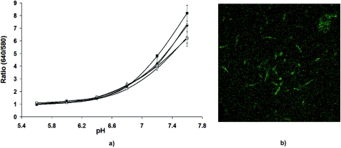 FIG. 3.