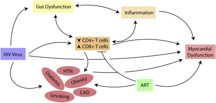 Figure 2.