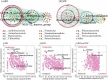 Network diagrams and scatter plots of microbial communities from two environments labeled BI and SW. Diagrams (a) and (b) show nodes connected by lines, representing different taxa groups. Scatter plots (c), (d), and (e) display the relationship between within-module connectivity (Zi) and among-module connectivity (Pi). Taxa like *Crenothrix*, *Elizabethkingia*, and *Roseomonas* are marked. The legend at the bottom indicates different phyla represented by color-coded dots.