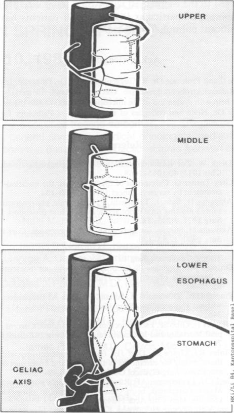 Fig. 11.