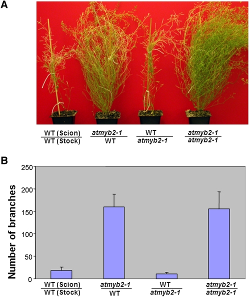 Figure 4.