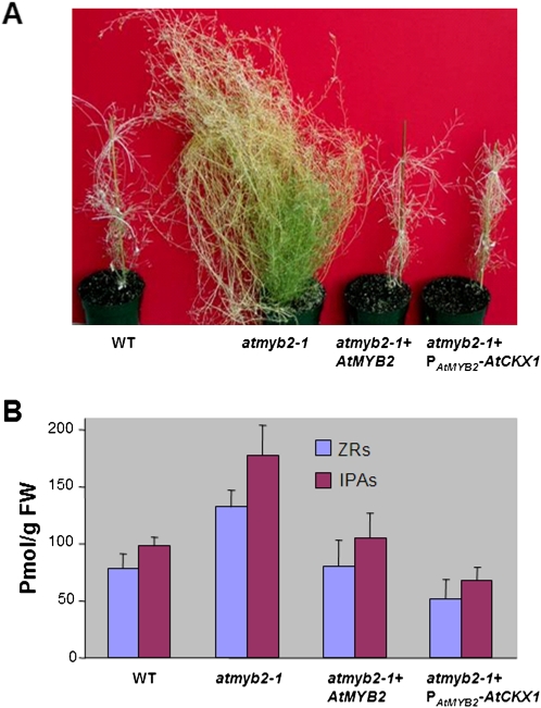 Figure 3.