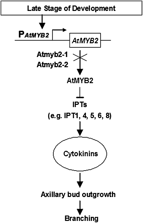 Figure 6.