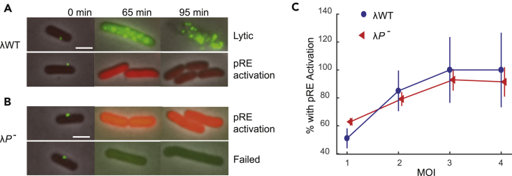 Figure 4