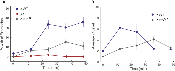 Figure 5