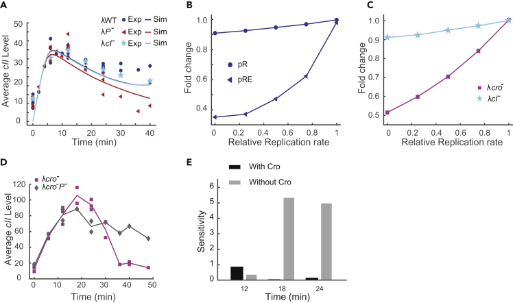 Figure 6