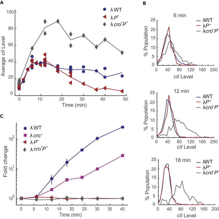 Figure 3