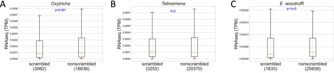 Figure 4—figure supplement 3.