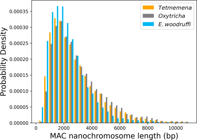 Figure 2—figure supplement 2.