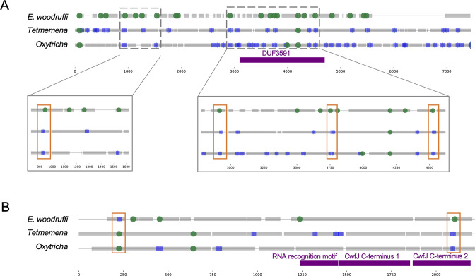 Figure 5—figure supplement 1.