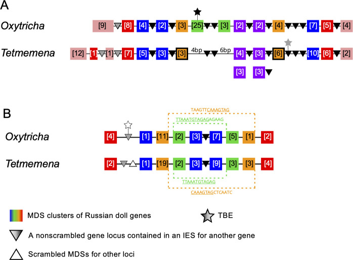 Figure 6.