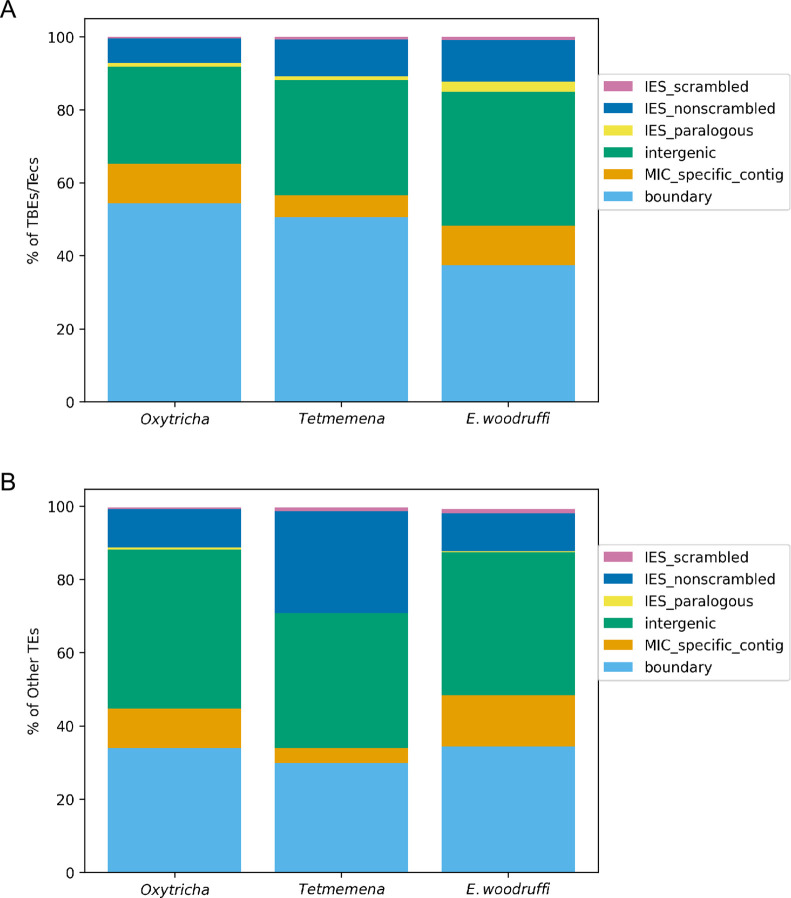 Figure 2—figure supplement 1.