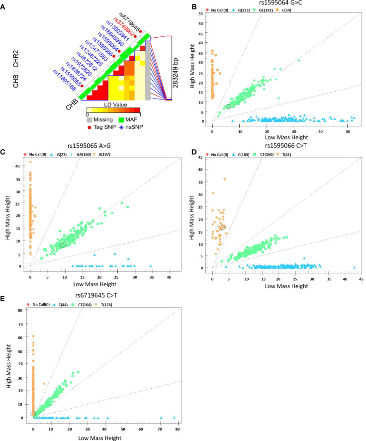 Figure 2