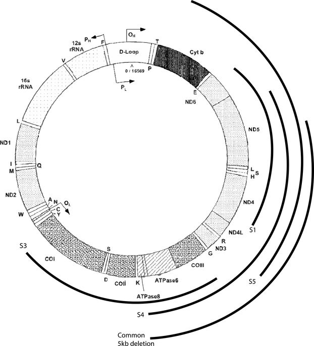 FIGURE 1: