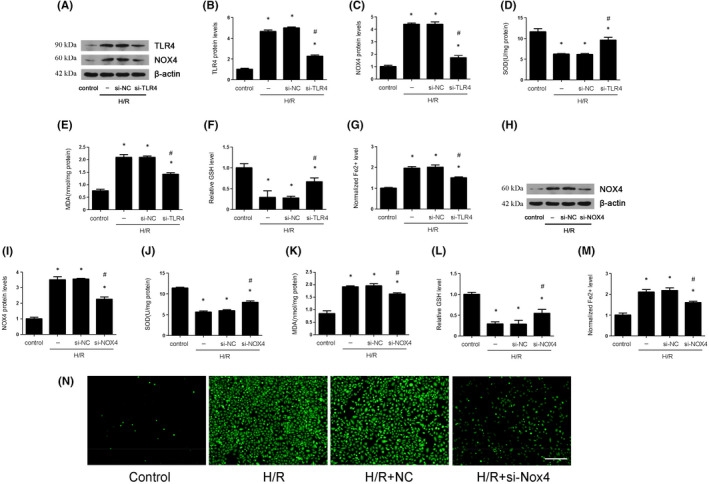 FIGURE 6