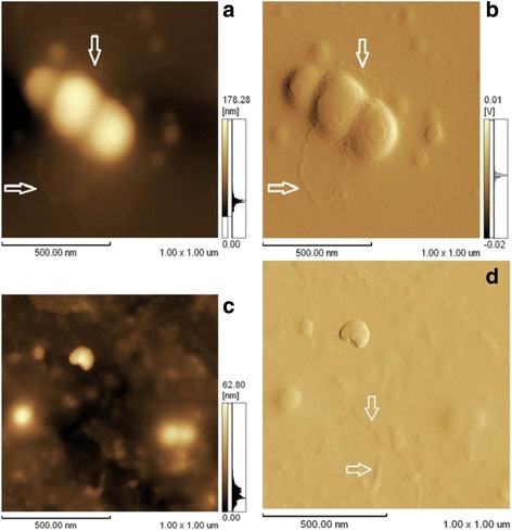 Fig. 6