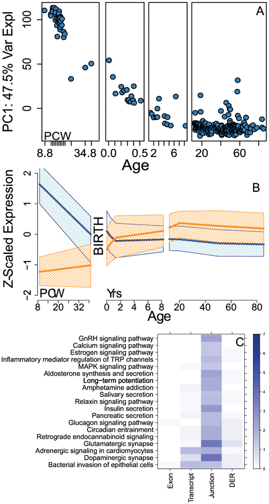 Figure 1: