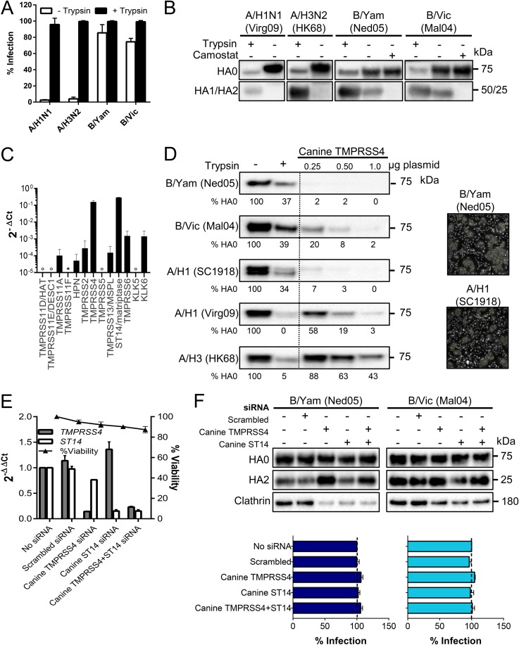 FIG 6