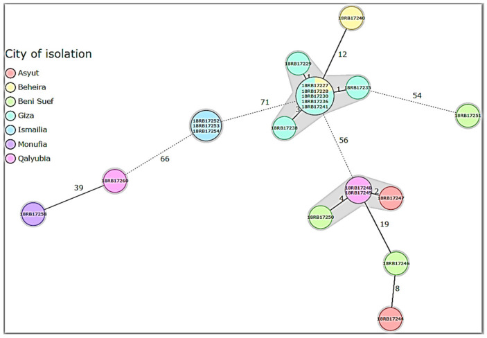 Figure 4