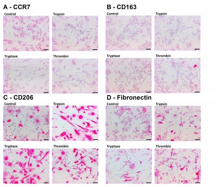 Fig 10