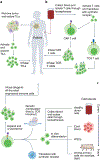 Fig. 1 ∣