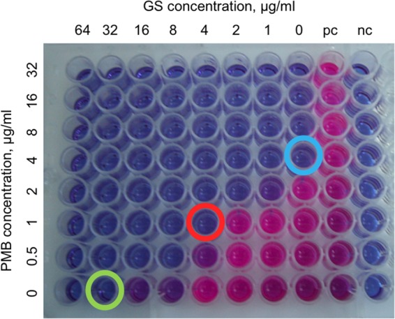 FIG 2