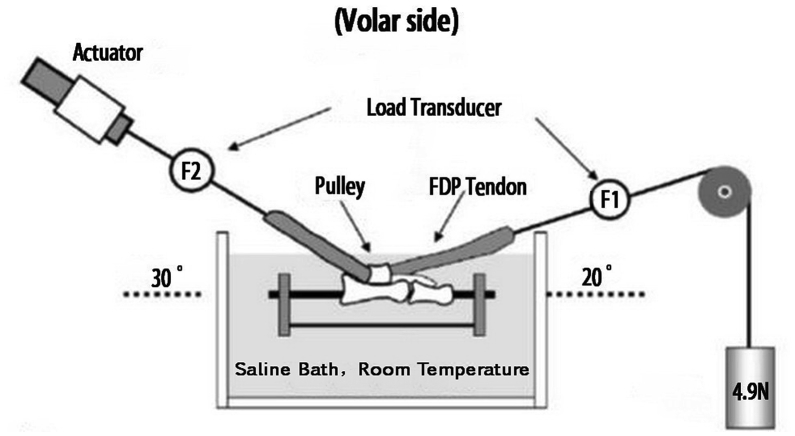 Figure 5