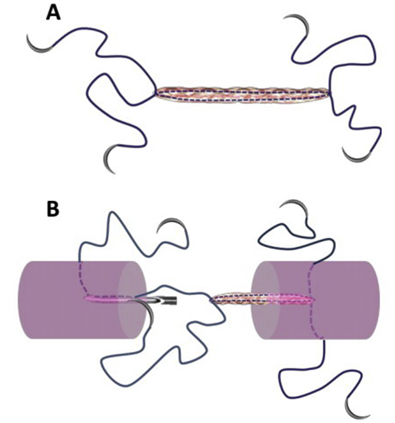 Figure 7