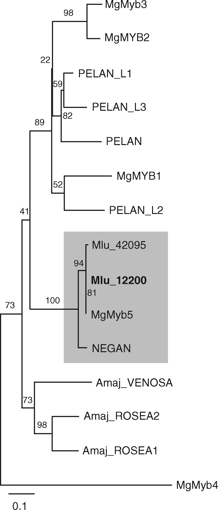 Figure 6