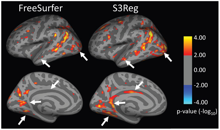 Fig. 10.