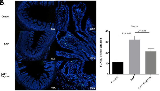 Supplementary Figure 4.