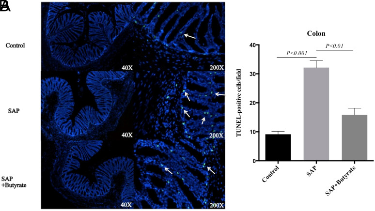 Supplementary Figure 5.