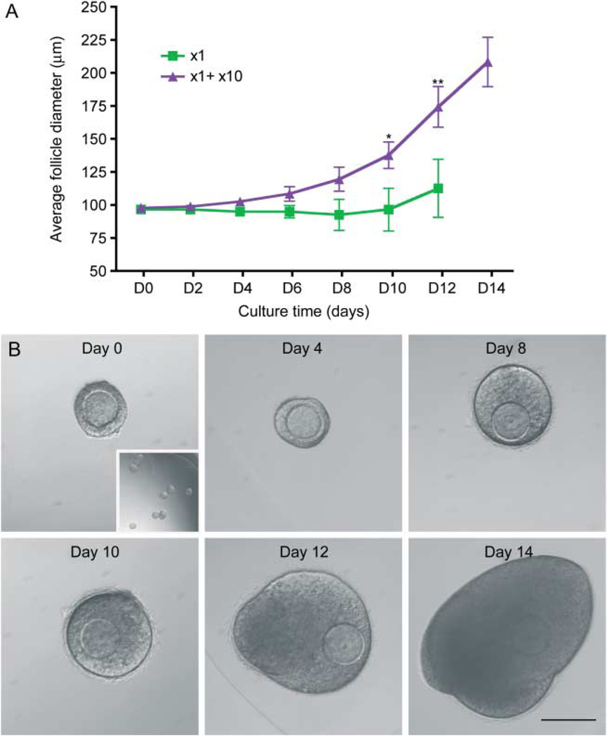 Figure 10