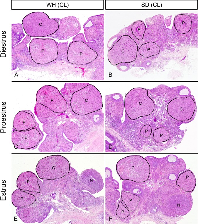 Fig. 3.