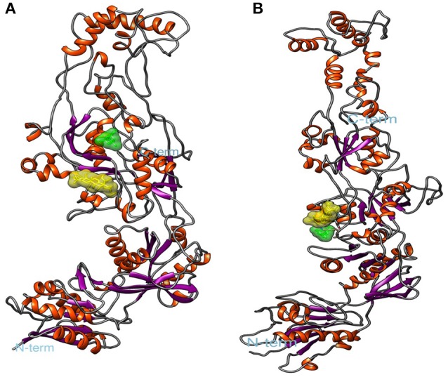 Figure 6