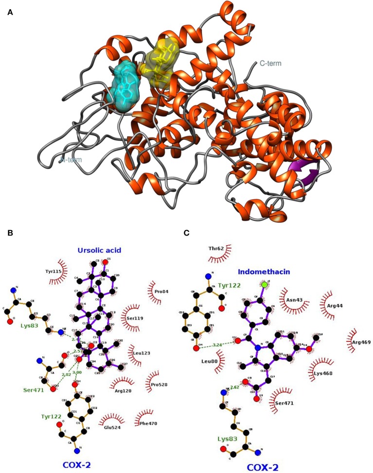 Figure 5