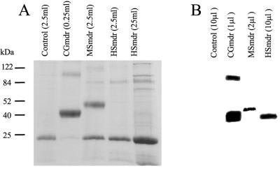 FIG. 5.