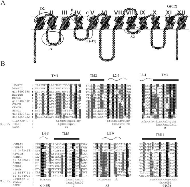 FIG. 2.