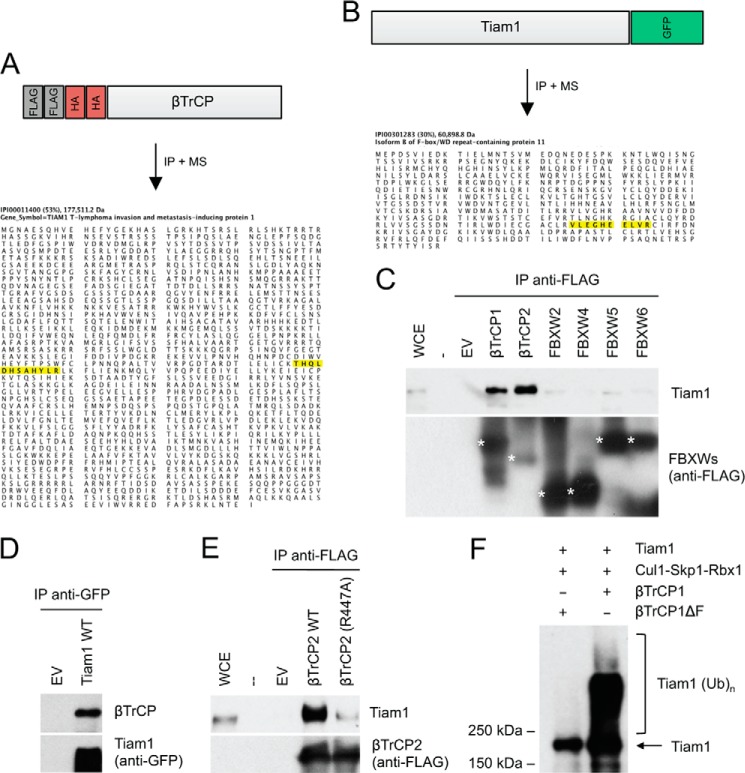 FIGURE 1.