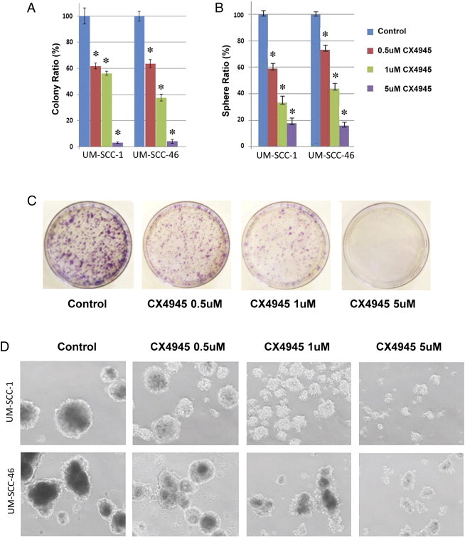 Figure 6