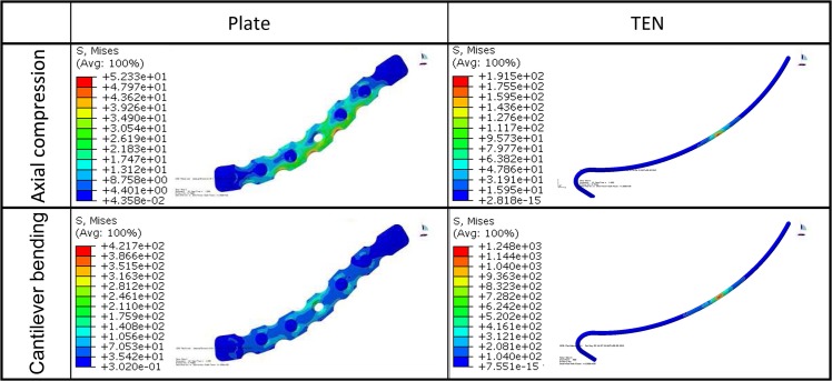 Fig 6